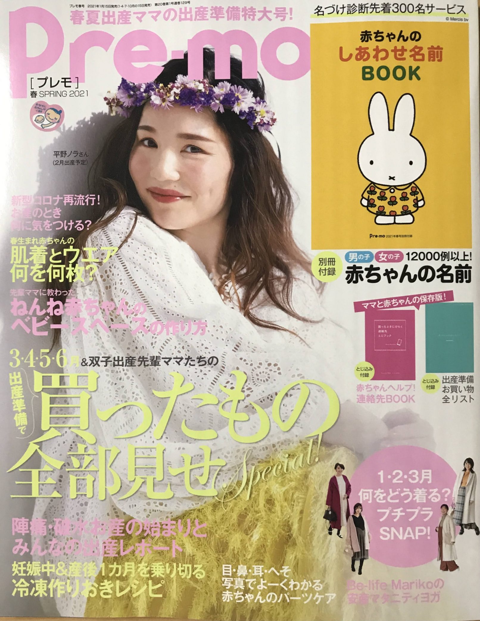 プレモ”平野ノラさん”マタニティペイントの画像